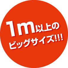 1m以上のビッグサイズ
